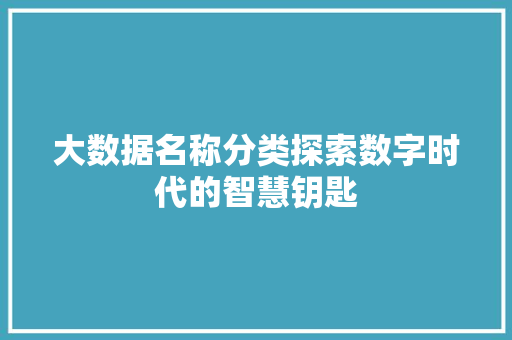 大数据名称分类探索数字时代的智慧钥匙  第1张