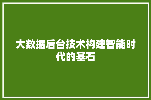 大数据后台技术构建智能时代的基石