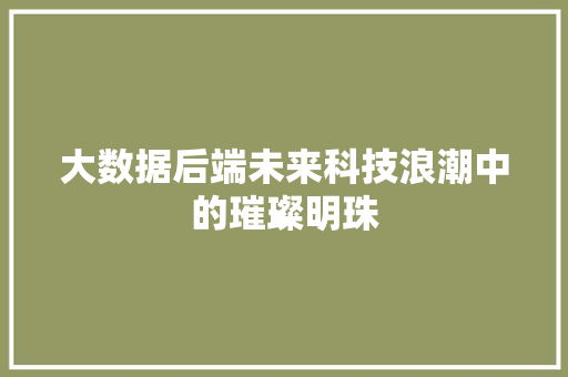 大数据后端未来科技浪潮中的璀璨明珠  第1张