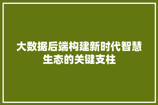 大数据后端构建新时代智慧生态的关键支柱