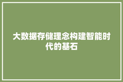 大数据存储理念构建智能时代的基石