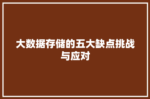大数据存储的五大缺点挑战与应对