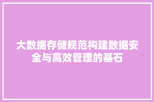 大数据存储规范构建数据安全与高效管理的基石