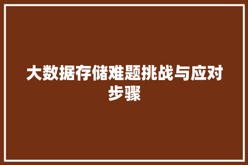 大数据存储难题挑战与应对步骤