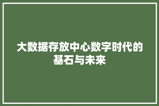 大数据存放中心数字时代的基石与未来