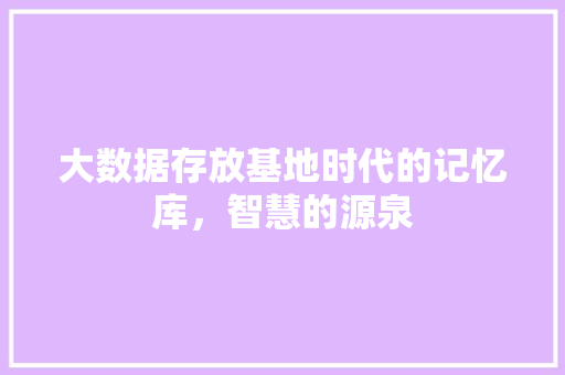 大数据存放基地时代的记忆库，智慧的源泉