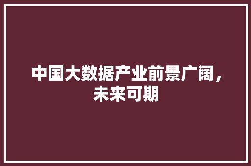 中国大数据产业前景广阔，未来可期