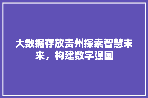 大数据存放贵州探索智慧未来，构建数字强国