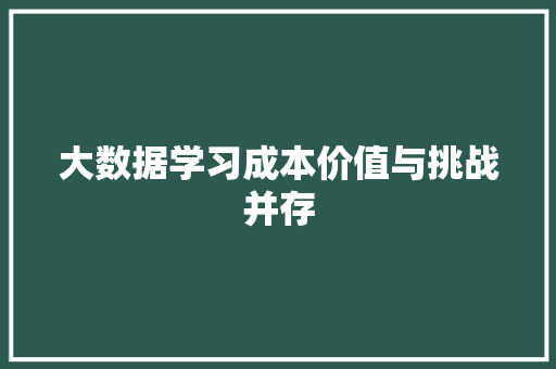 大数据学习成本价值与挑战并存