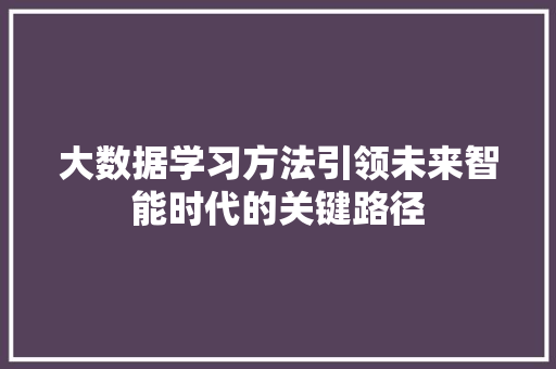 大数据学习方法引领未来智能时代的关键路径