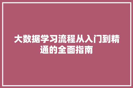 大数据学习流程从入门到精通的全面指南