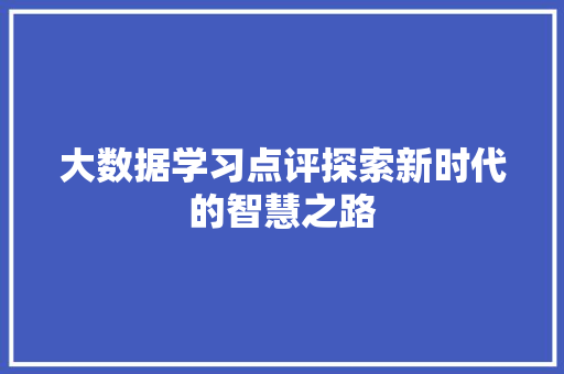 大数据学习点评探索新时代的智慧之路