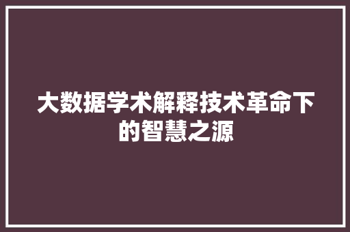 大数据学术解释技术革命下的智慧之源