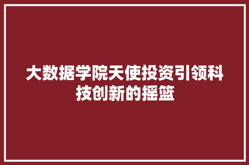 大数据学院天使投资引领科技创新的摇篮