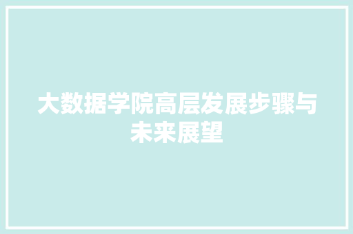 大数据学院高层发展步骤与未来展望