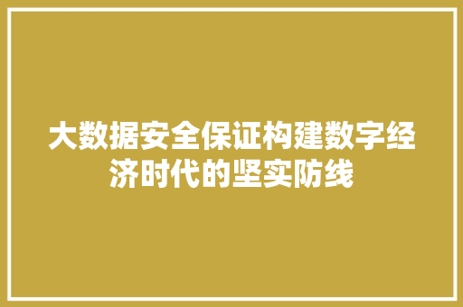 大数据安全保证构建数字经济时代的坚实防线