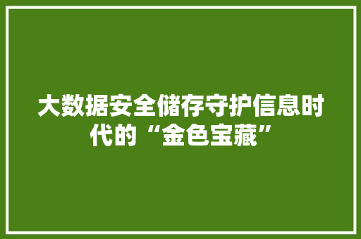 大数据安全储存守护信息时代的“金色宝藏”