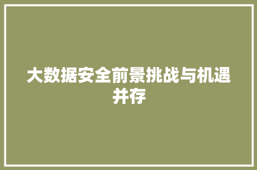 大数据安全前景挑战与机遇并存