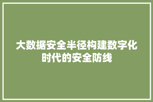 大数据安全半径构建数字化时代的安全防线