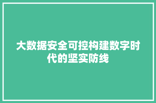 大数据安全可控构建数字时代的坚实防线