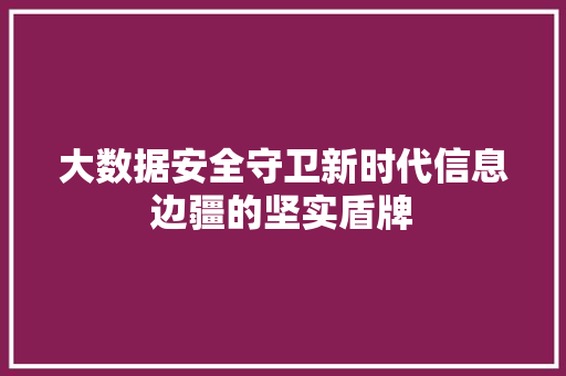 大数据安全守卫新时代信息边疆的坚实盾牌