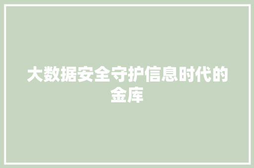 大数据安全守护信息时代的金库