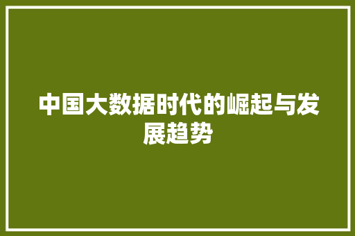 中国大数据时代的崛起与发展趋势