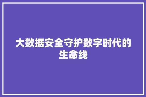 大数据安全守护数字时代的生命线