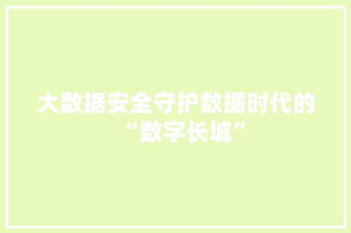 大数据安全守护数据时代的“数字长城”