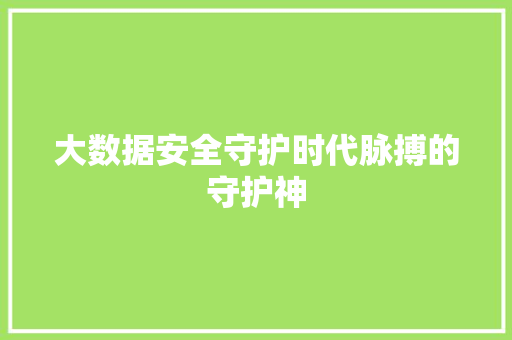 大数据安全守护时代脉搏的守护神  第1张