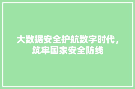 大数据安全护航数字时代，筑牢国家安全防线