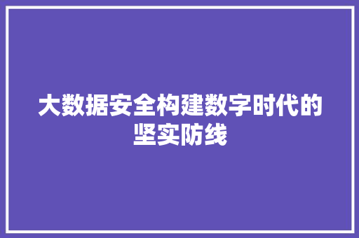 大数据安全构建数字时代的坚实防线  第1张