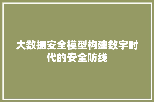 大数据安全模型构建数字时代的安全防线