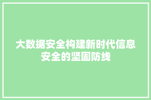 大数据安全构建新时代信息安全的坚固防线