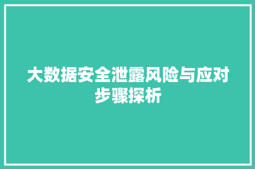 大数据安全泄露风险与应对步骤探析