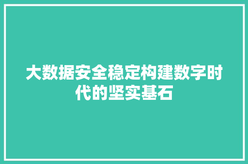 大数据安全稳定构建数字时代的坚实基石