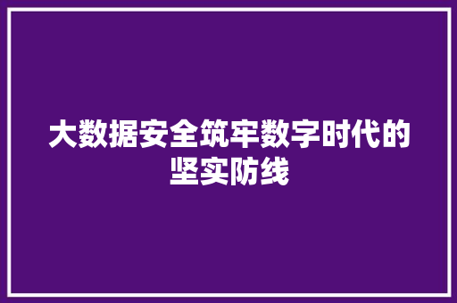 大数据安全筑牢数字时代的坚实防线