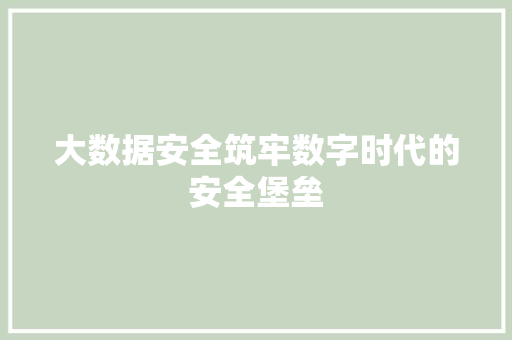 大数据安全筑牢数字时代的安全堡垒