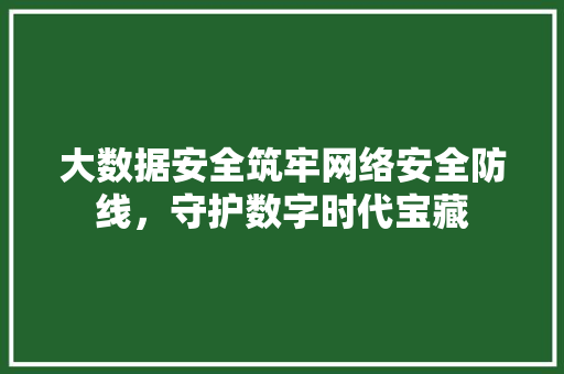 大数据安全筑牢网络安全防线，守护数字时代宝藏