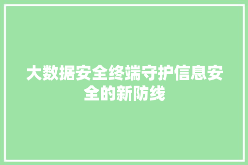 大数据安全终端守护信息安全的新防线