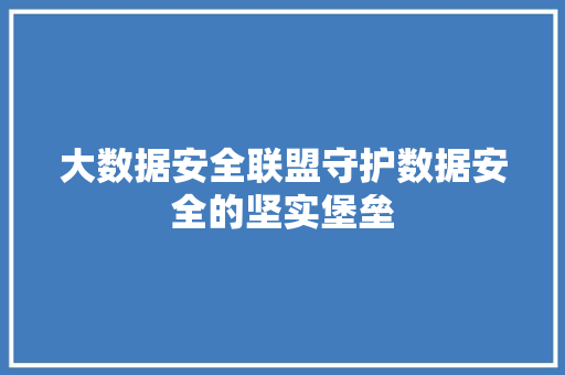 大数据安全联盟守护数据安全的坚实堡垒