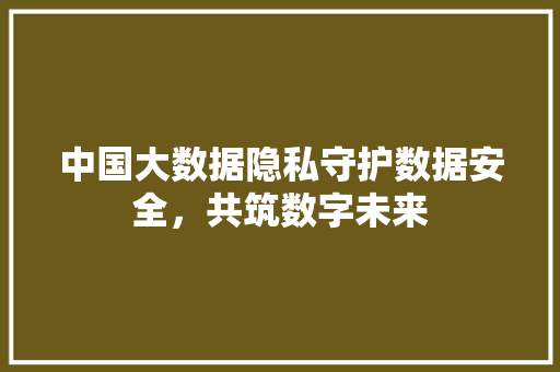 中国大数据隐私守护数据安全，共筑数字未来