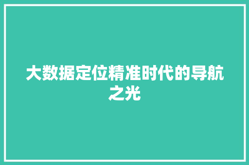 大数据定位精准时代的导航之光  第1张