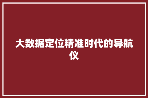 大数据定位精准时代的导航仪  第1张