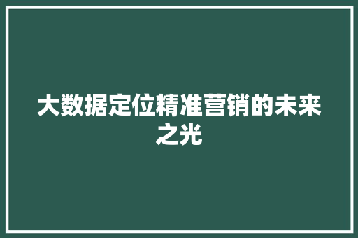 大数据定位精准营销的未来之光  第1张