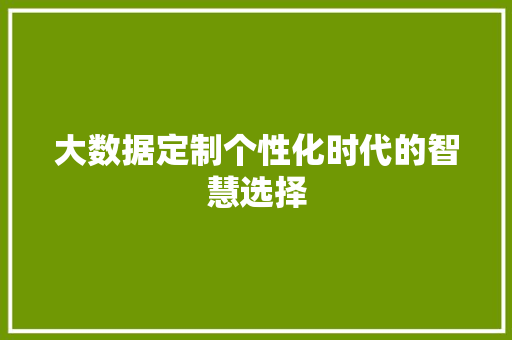 大数据定制个性化时代的智慧选择