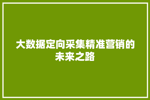 大数据定向采集精准营销的未来之路  第1张