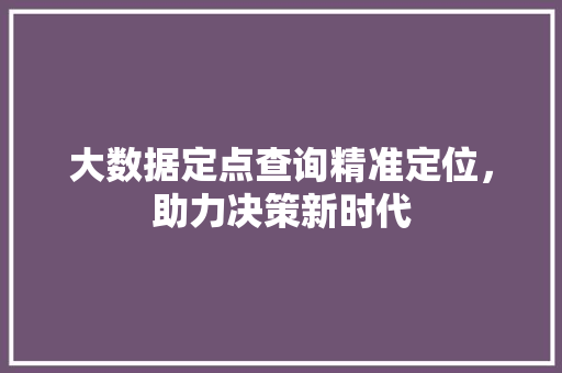 大数据定点查询精准定位，助力决策新时代  第1张
