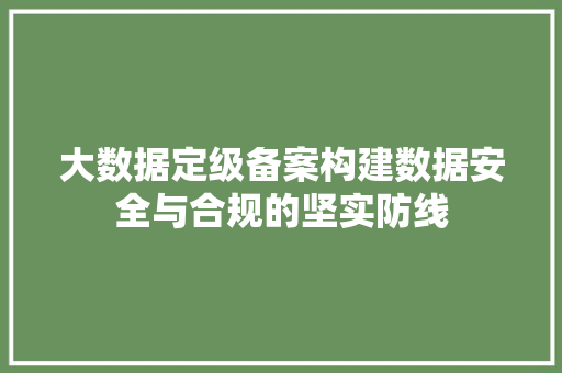 大数据定级备案构建数据安全与合规的坚实防线  第1张