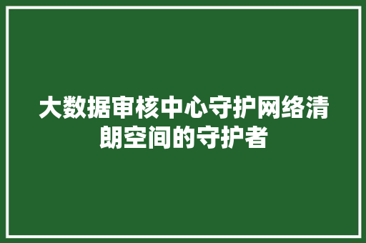 大数据审核中心守护网络清朗空间的守护者